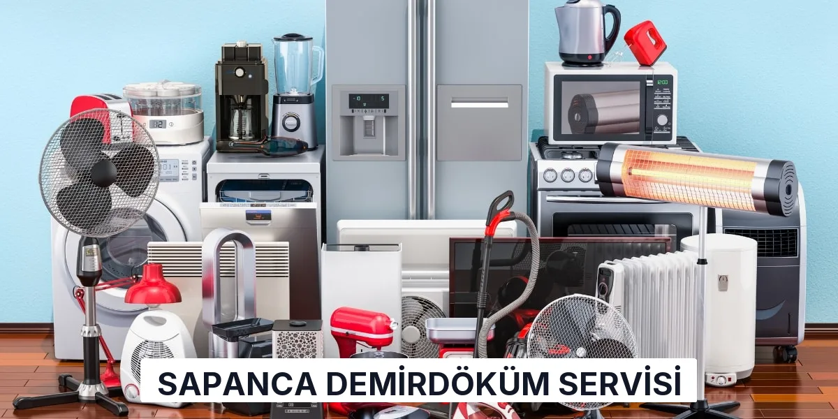 Sapanca Demirdöküm Servisi