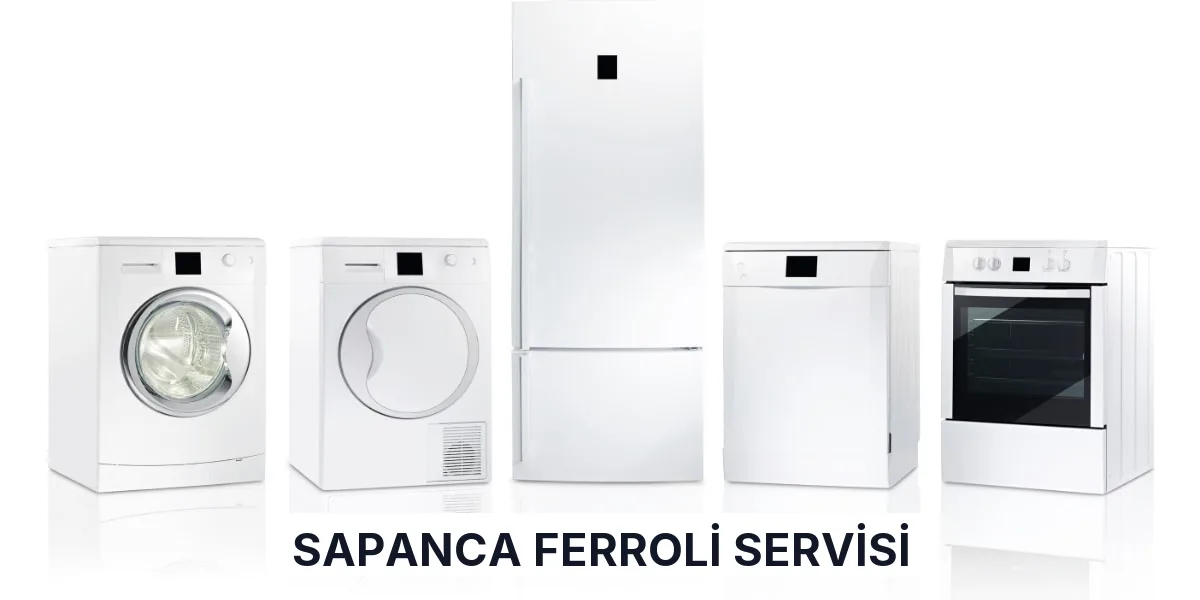 Sapanca Ferroli Servisi