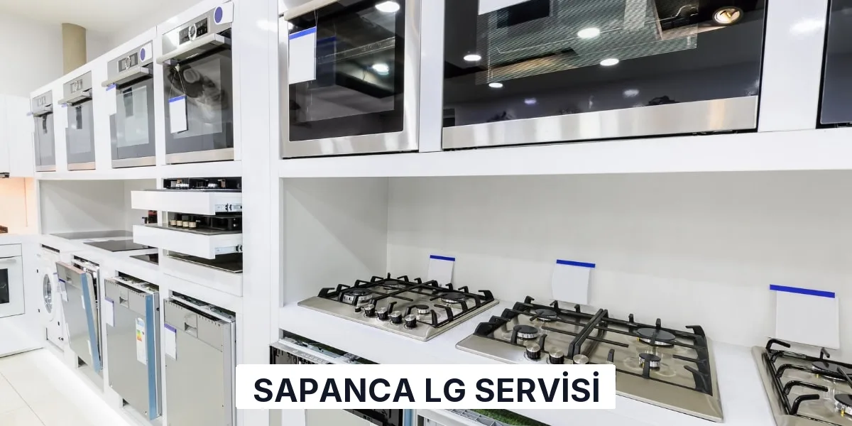 Sapanca LG Servisi
