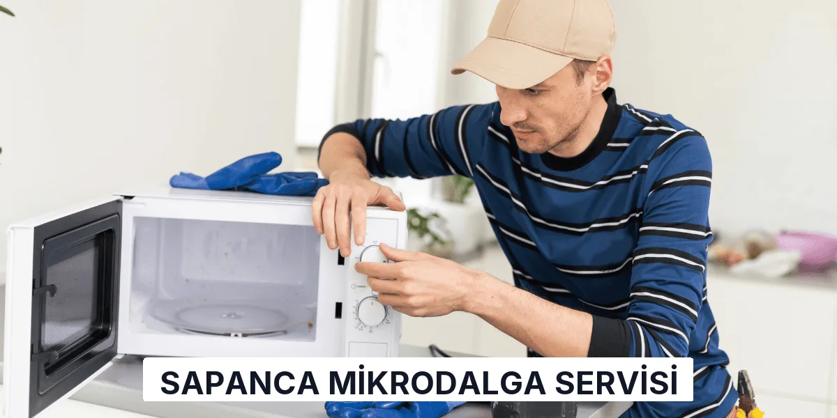 Sapanca Mikrodalga Servisi